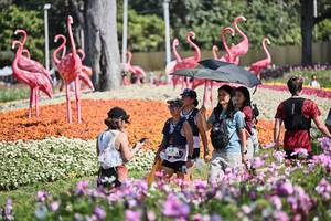 BIB: 
                            <button type="button" onclick="openModal(27794398)" class="btn btn-primary btn-sm float-right btn-popup" data-toggle="modal" data-target=".modal-high-quality">
                        <i class="fas fa-shopping-cart"></i> Add to Cart
                    </button>
                                            <button type="button" onclick="isThisMe(27794398, true)" class="btn btn-success btn-sm float-right btn-popup btn-isme hidden" data-toggle="tooltip" data-placement="bottom" title="นี่คือรูปของคุณใช่ไหม คลิกที่นี่เพื่อเอาเข้าอัลบั้ม">
                        <i class="fas fa-plus"></i> Add to album
                    </button>
                    <button type="button" onclick="isThisMe(27794398, false)" class="btn btn-warning btn-sm float-right btn-popup btn-isnotme hidden">
                        <i class="fas fa-ban"></i> Remove from album
                    </button>